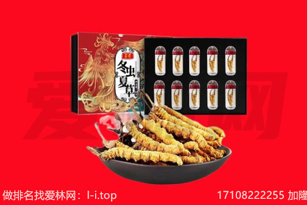 攀枝花市米易县回收虫草.jpg